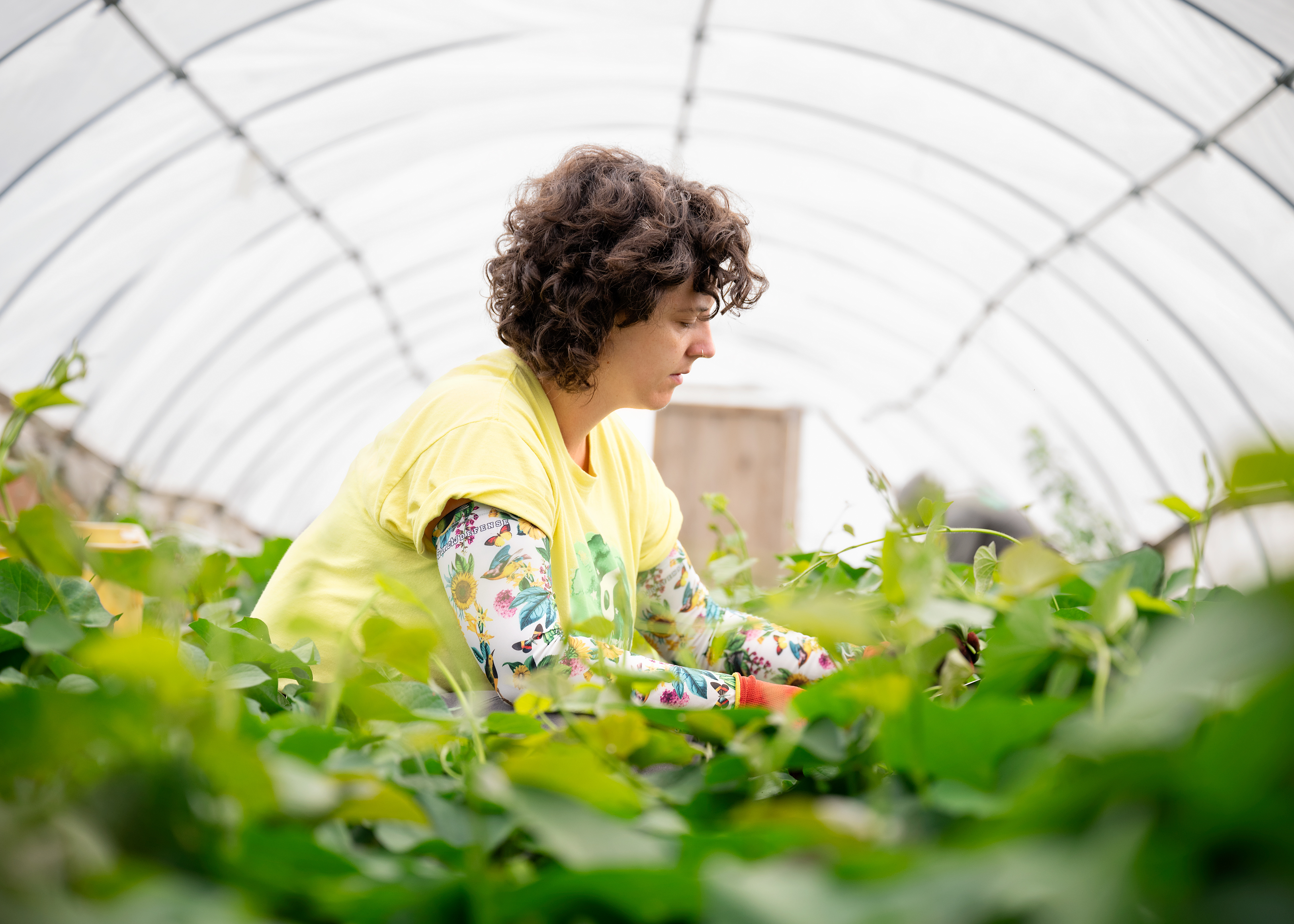 Urban growers collective staff working on the south farm in South Chicago.