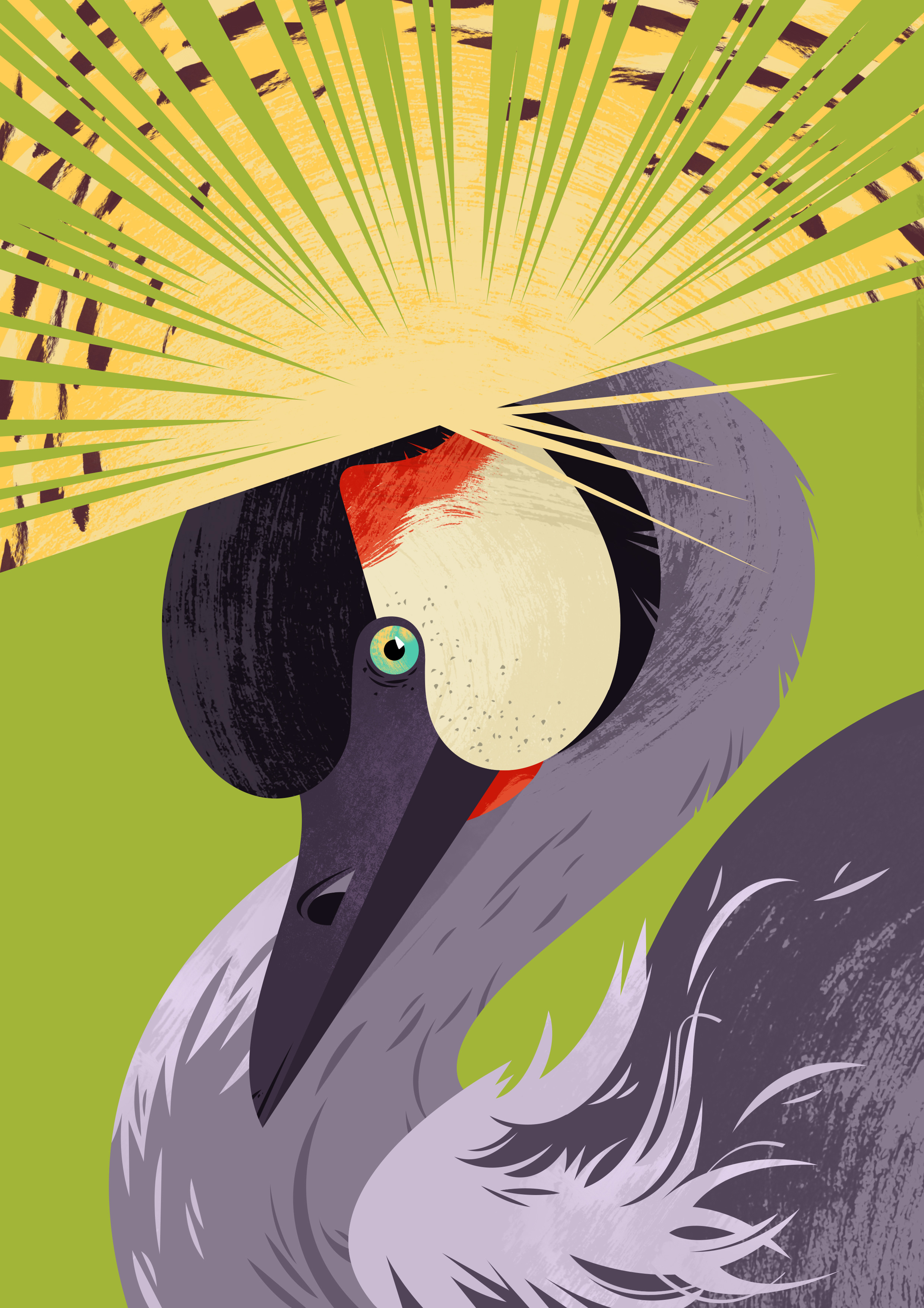Illustrated portrait of a grey crowned crane.