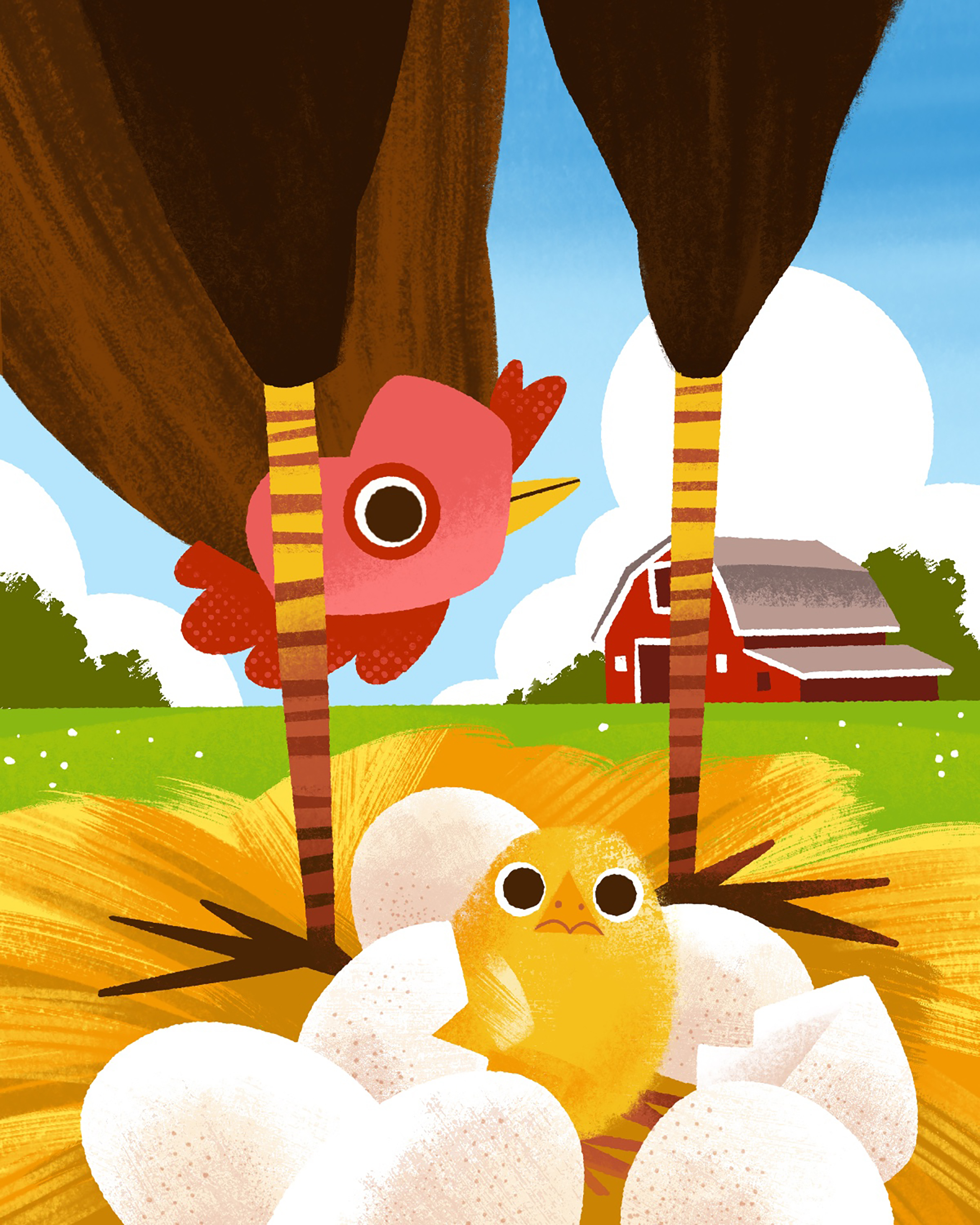 A sweet farmyard moment as a tiny chick hatches under the watchful wings of its mother hen.