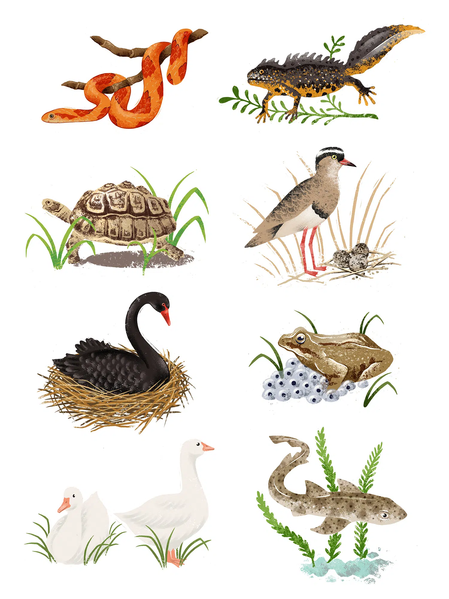 Image 1010105