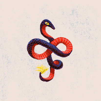 Danger Noodle