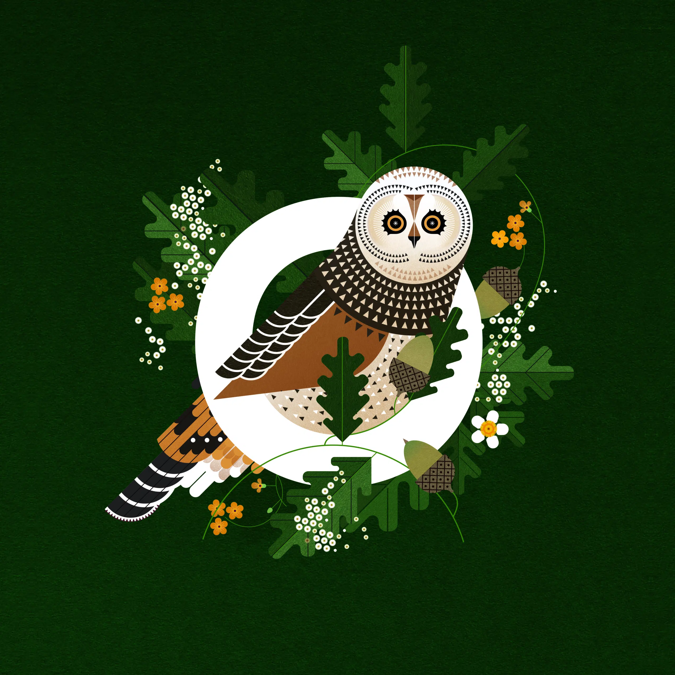Image 1009756