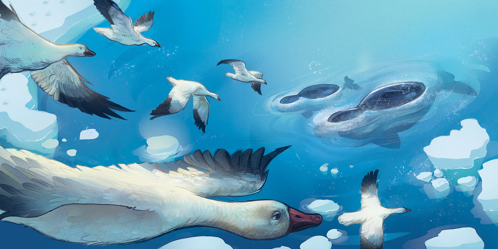 A digital narrative illustration of Arctic birds in flight above whales in ice blue water, painted in a whimsical, narrative style for children's publishing and editorial use.