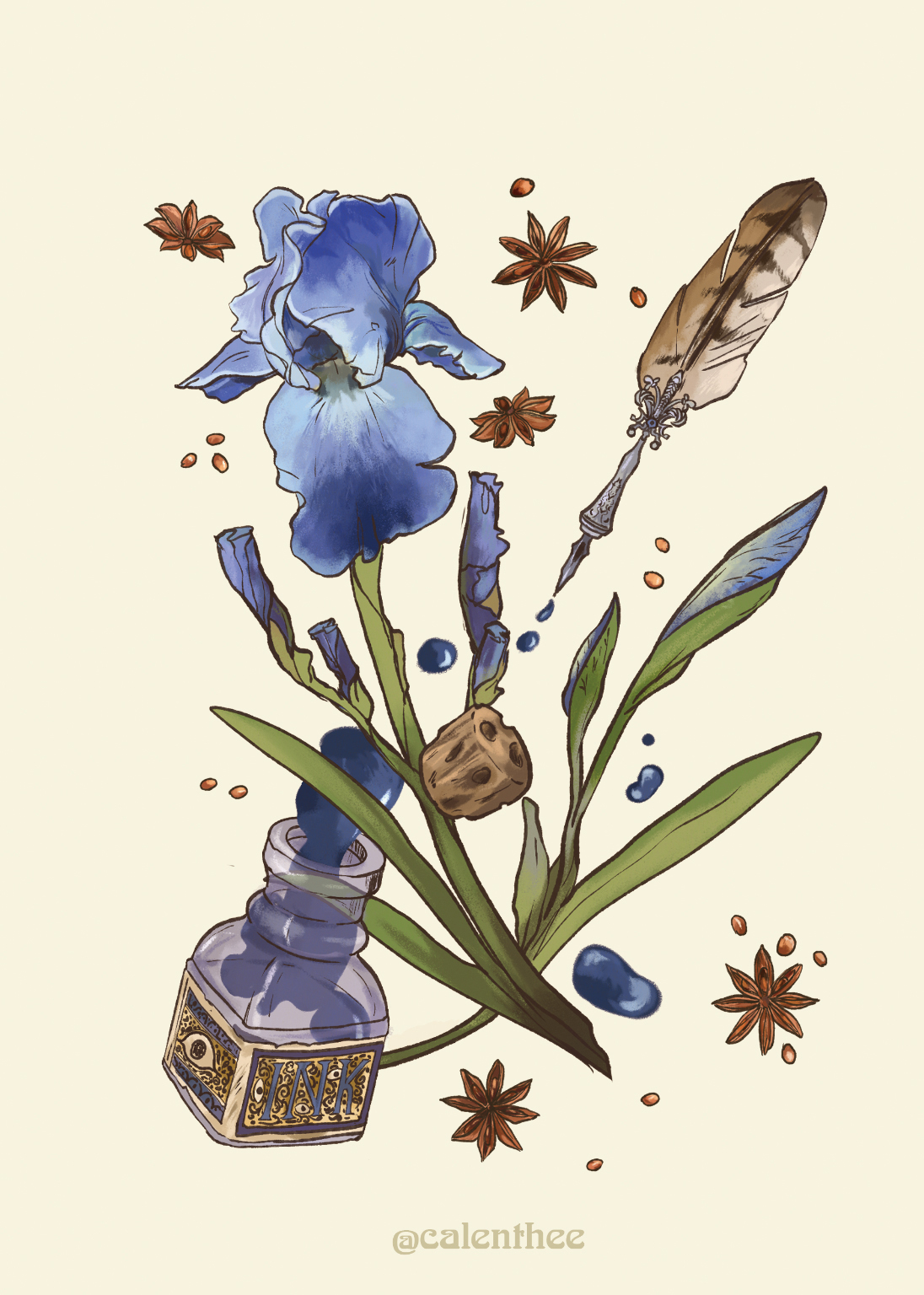 Iris flower with star anise, ink and quill pen